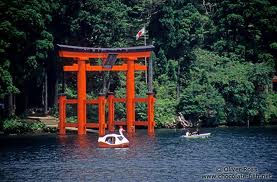 Torii Gate