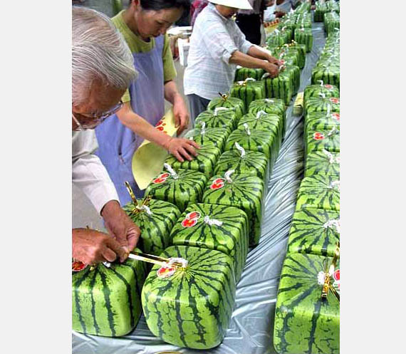 cubic watermelon