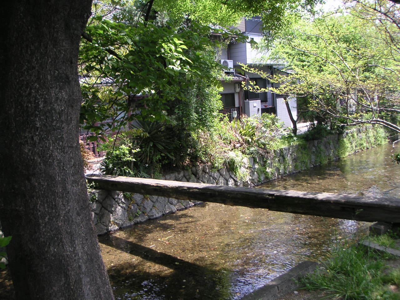 River Walk